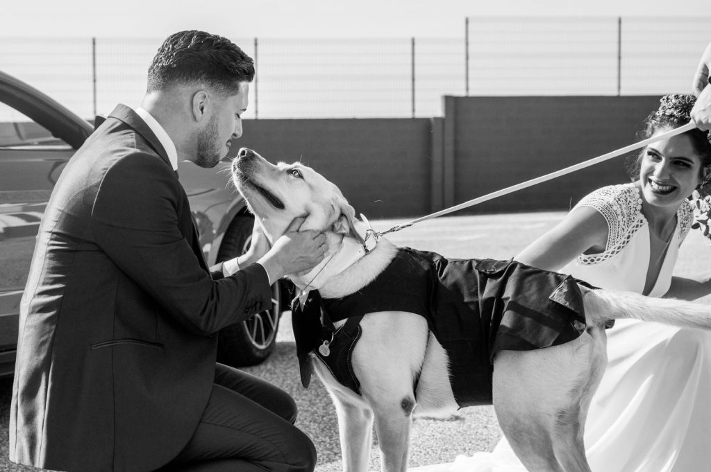 Imagen de WhatsApp 2024-10-11 a las 11.22.08_65081e45