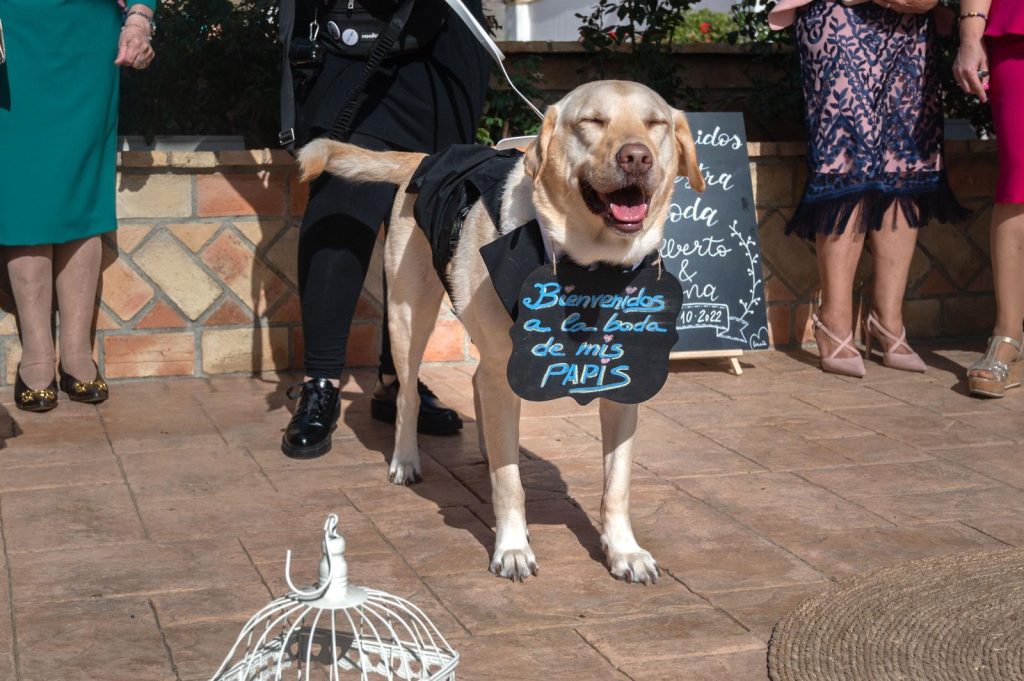 Imagen de WhatsApp 2024-10-11 a las 11.22.09_3a39e2b1