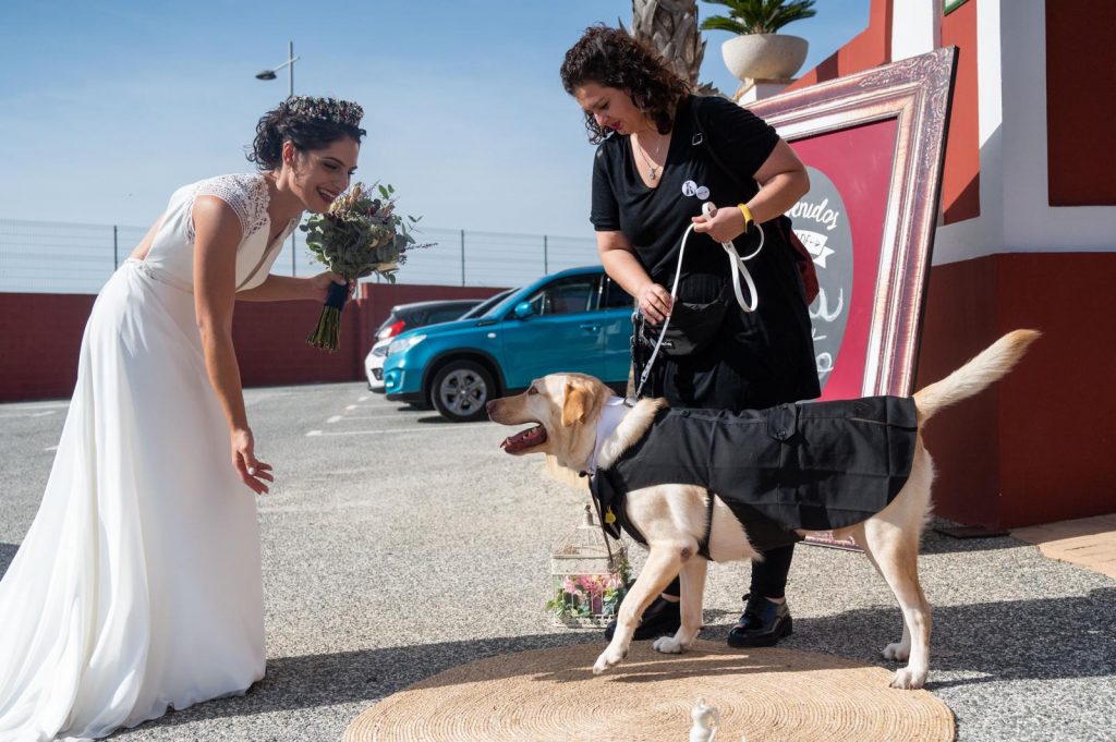 Imagen de WhatsApp 2024-10-11 a las 11.22.09_d5466712