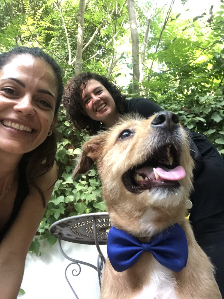 NOEMI-PERRO-BODA-MALLORCA-DOG-WEDDING-PLANNER15.JPG(1)