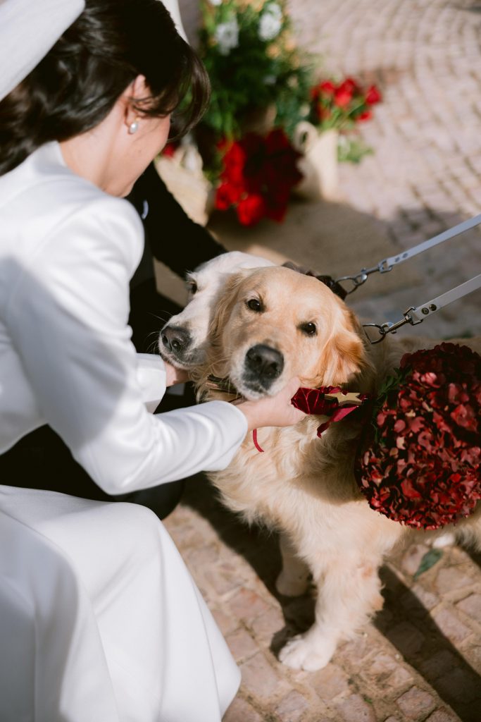 PHOTO-2025-02-20-19-29-43