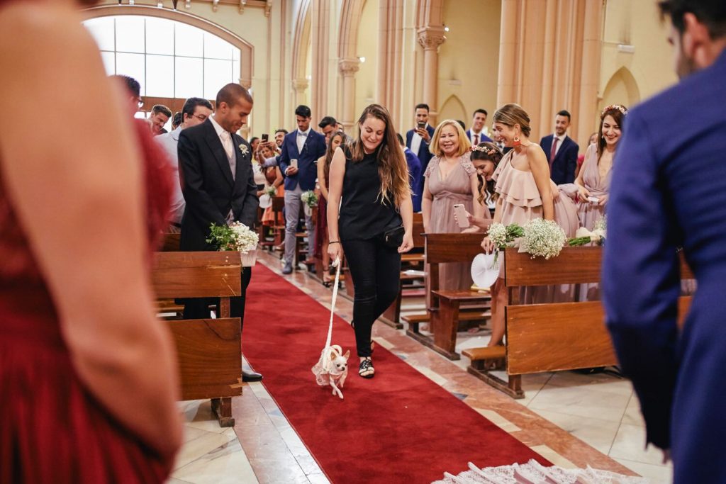 LARA-PERRO-BODA-DOG-WEDDING-PLANNER-YES-WE-PET1