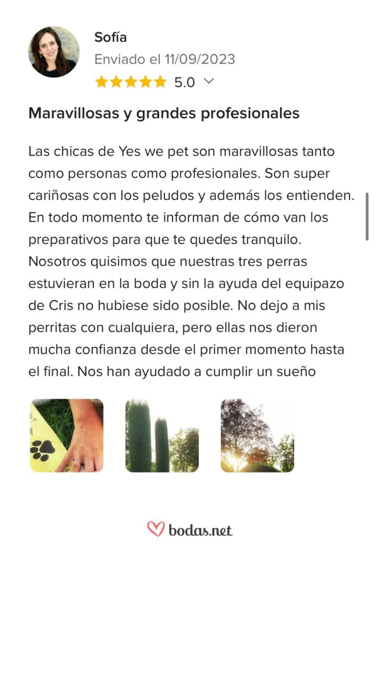 dwpLARA (2)