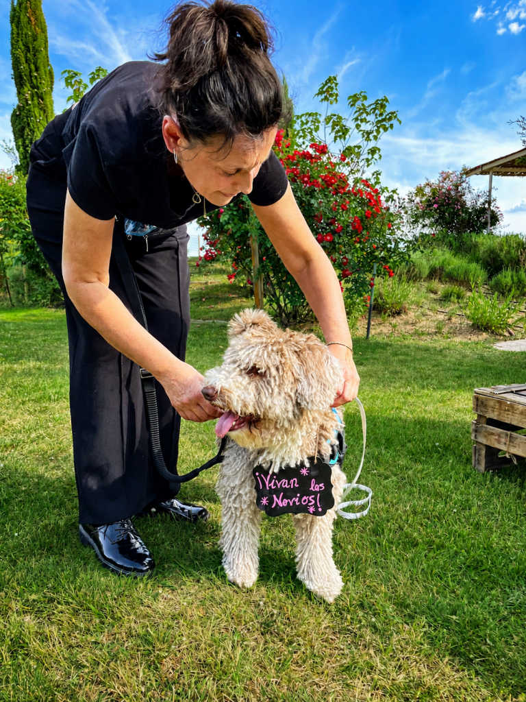 ChatGPT Image 16 ago 2026, 15_35_40 (5)