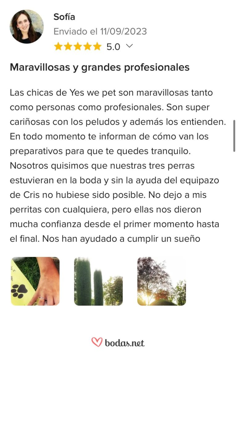 dwptere (3)
