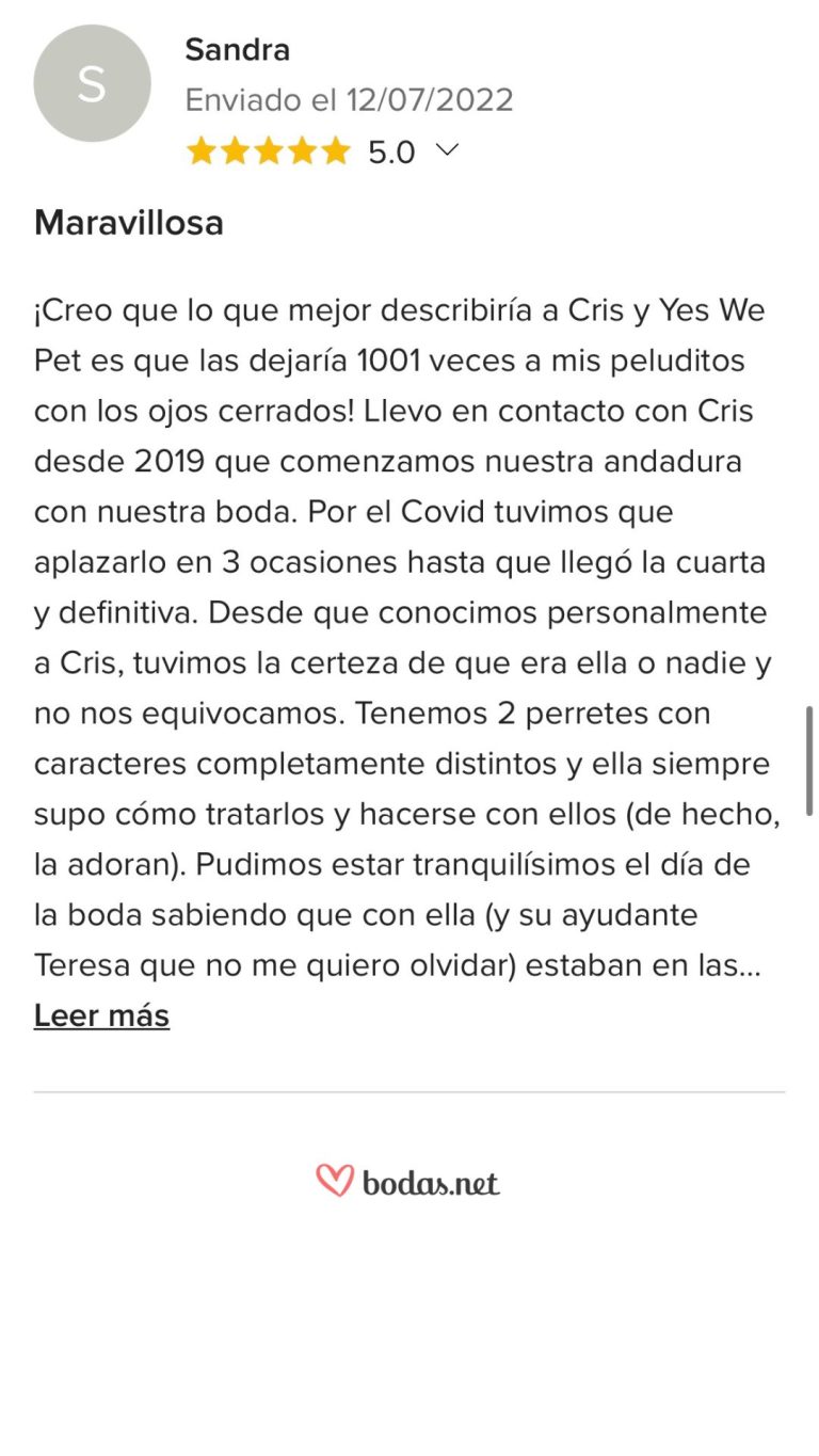 dwptere (4)