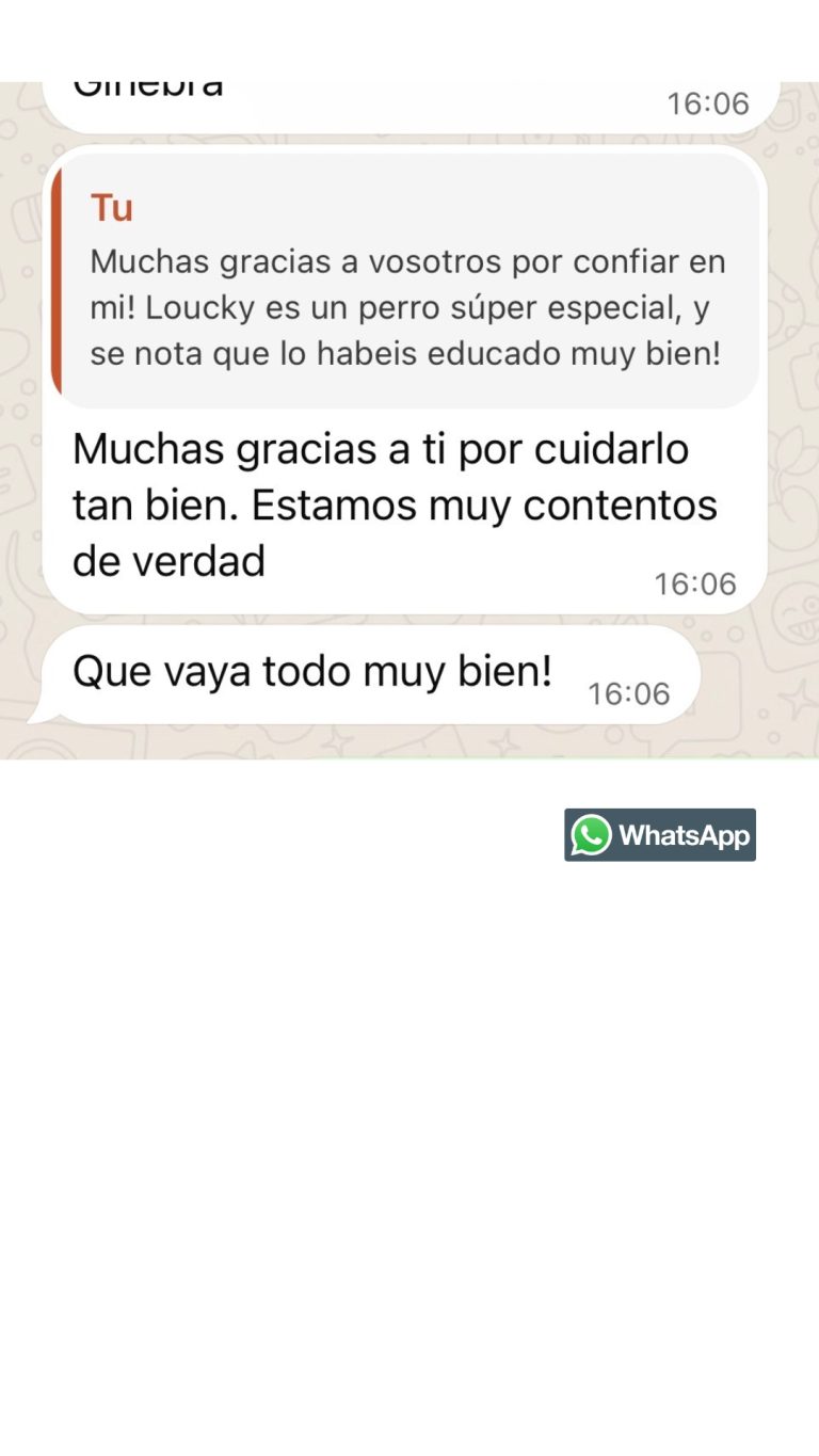 WORDPRESS RESENAS DWP FICHA (11)