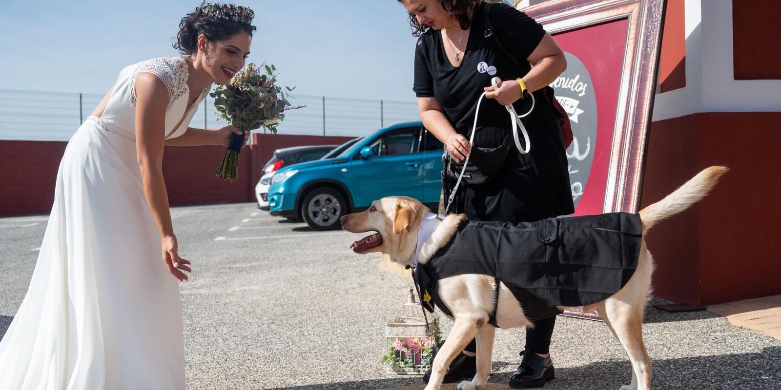 Imagen de WhatsApp 2024-10-11 a las 11.22.09_d5466712