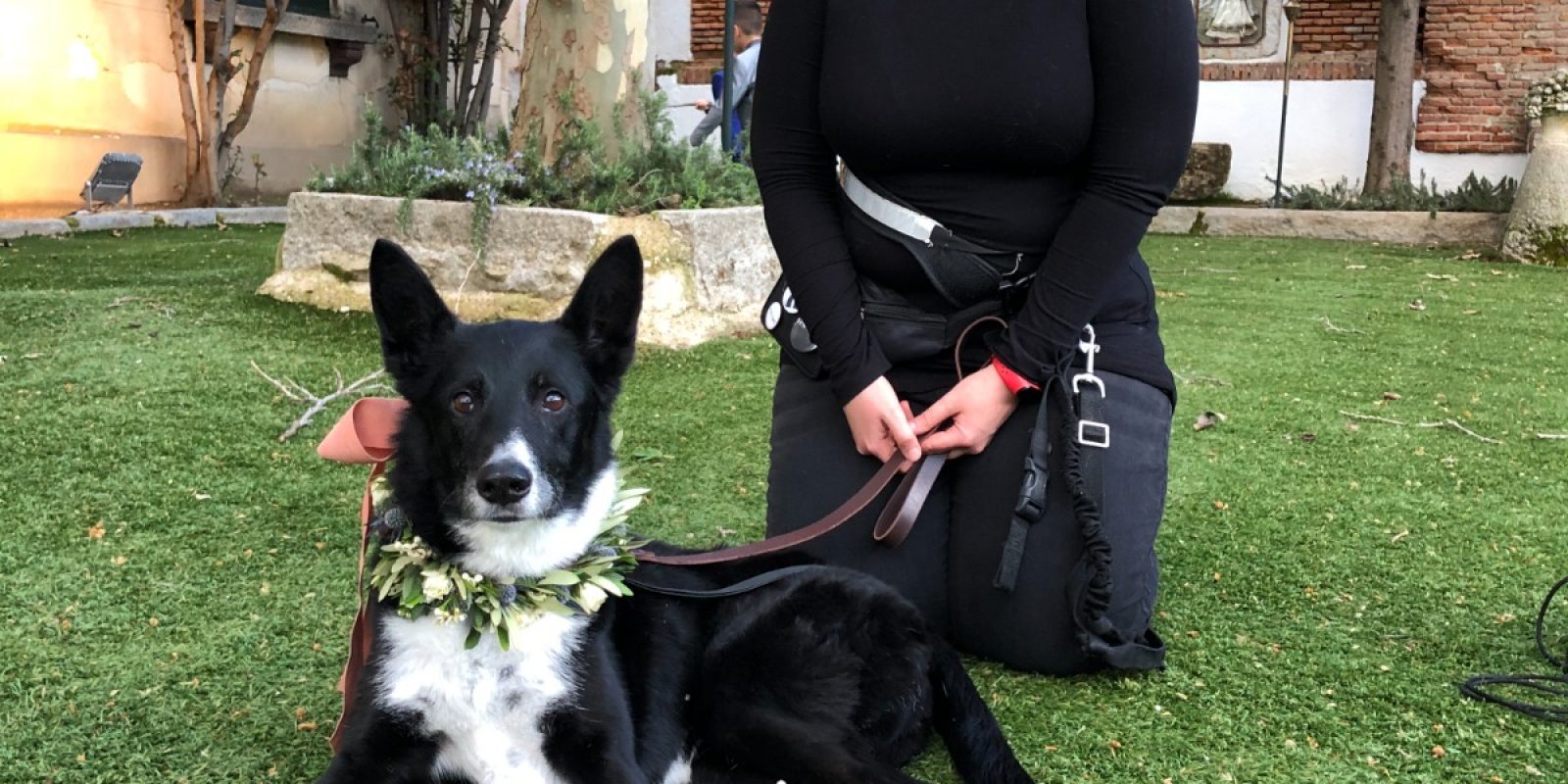 NOEMI-PERRO-BODA-MALLORCA-DOG-WEDDING-PLANNER11.JPG