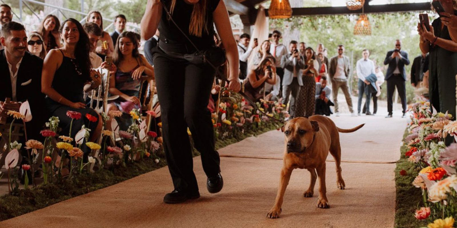 PHOTO-2025-07-16-07-27-37