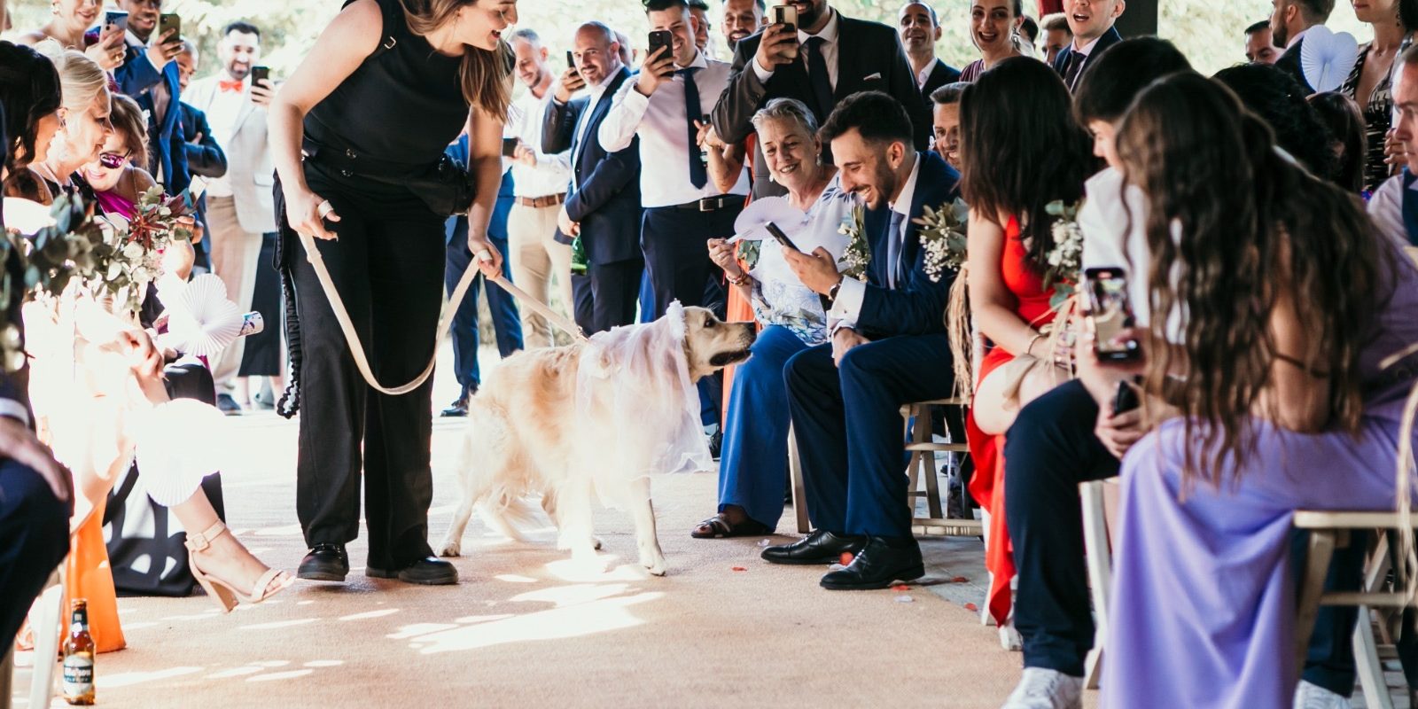 cad41614-e93d-403f-b336-ab62a33b97f7